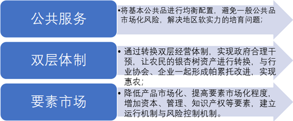 銀杏品牌戰(zhàn)略.png